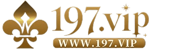 197vip55 com
